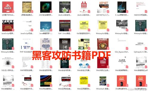 从零起步 网络安全与黑客自学笔记——计算机软硬件基础